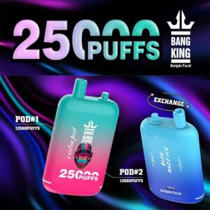 Bang King 25000使い捨てベイプ - デュアルポッド、25Kパフパワー